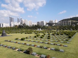 The UN Memorial Cemetery of Korea