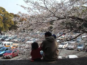 Spring 2007 collection: A family enjoying an idyllic time under the sakura trees. 