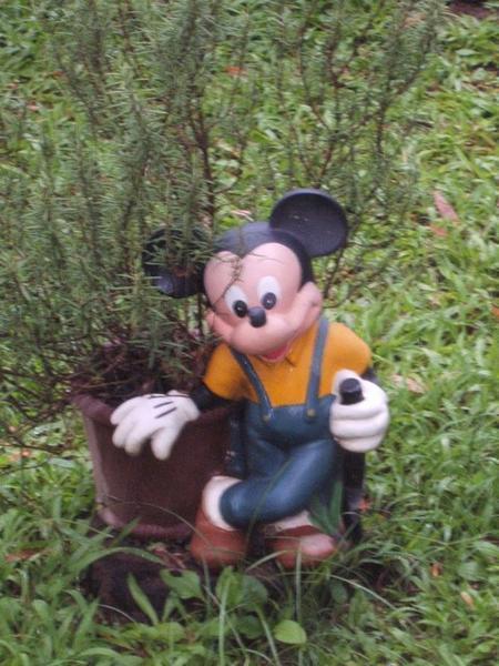 Mickey - What u doing here? You should be in HK Disneyland