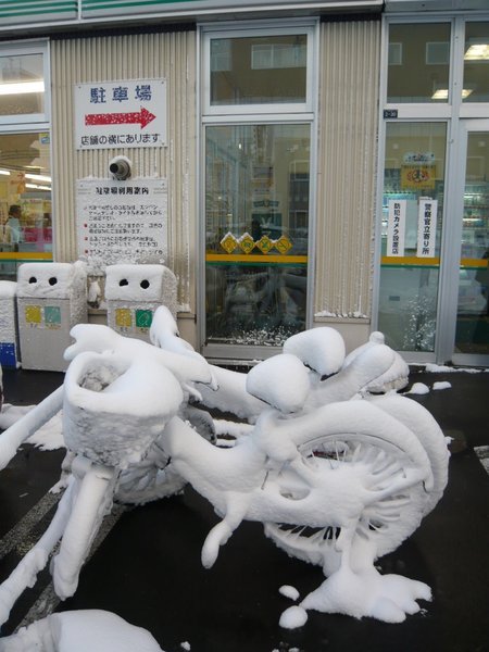 Frozen bicycles