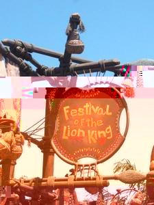 Festival of Lion King