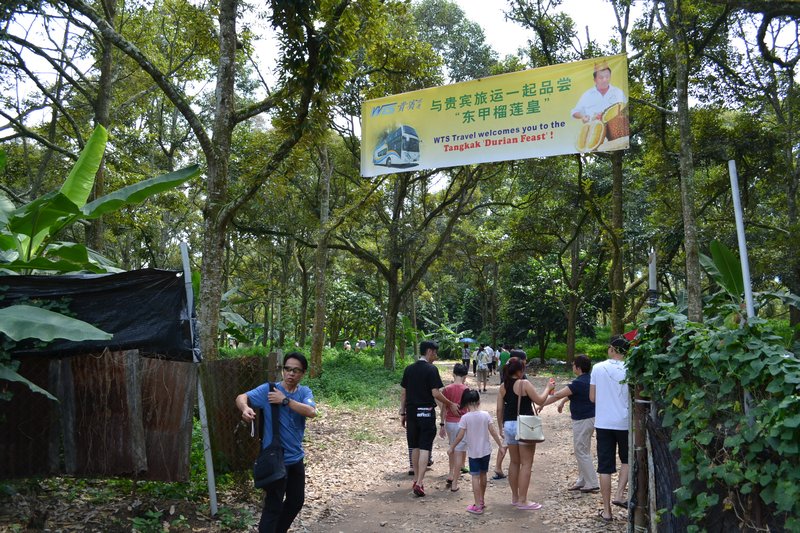 Gateway to Durian Fiesta
