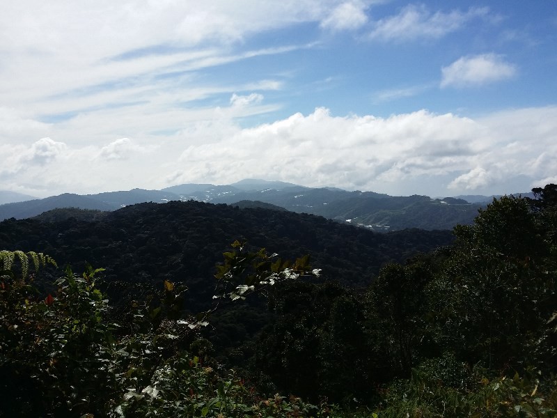 From the top, at Gunung Brinchang