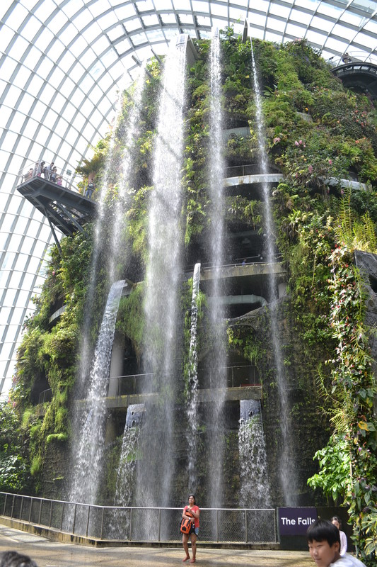 Inside the Cloud Forest