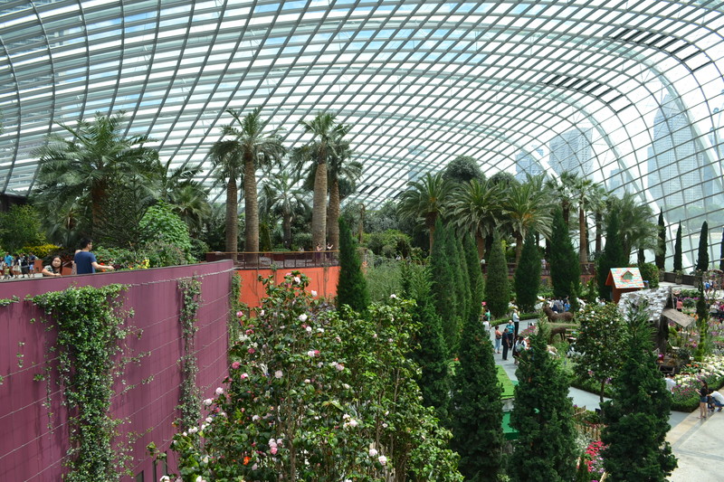 Inside the Flower Dome