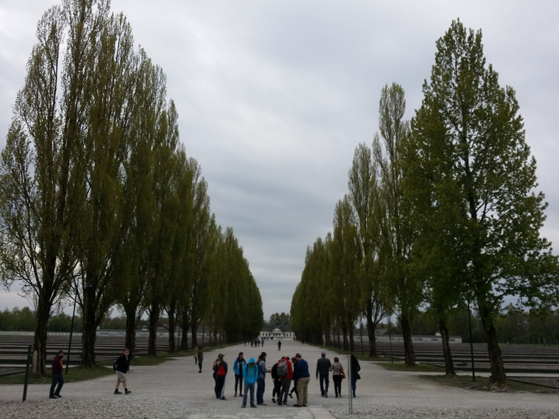 Sad Dachau Trees 