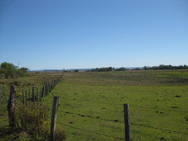 Openess of Paraguayan countryside