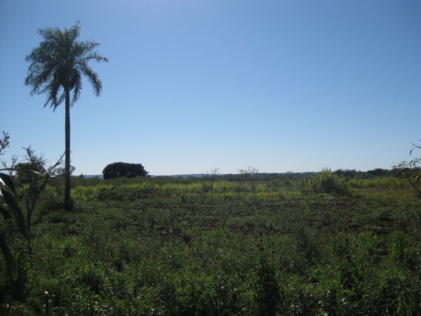 Cocotero and Countryside