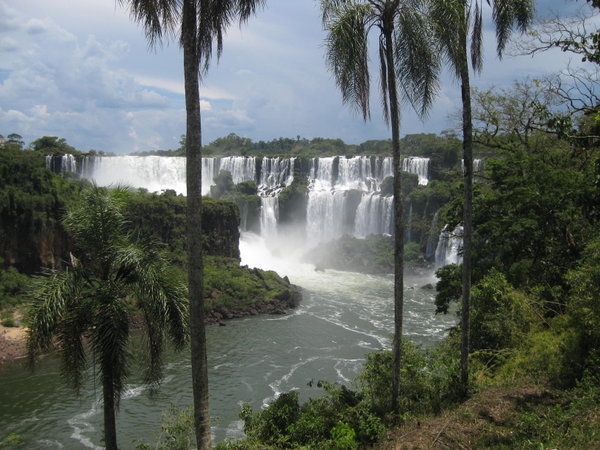 The falls and coconut trees
