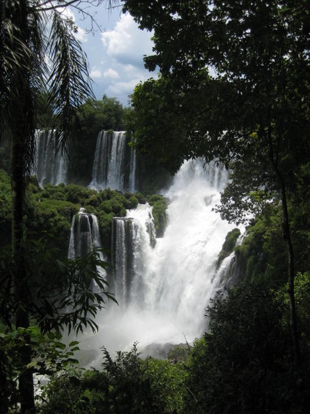 The falls and beautiful vegetation