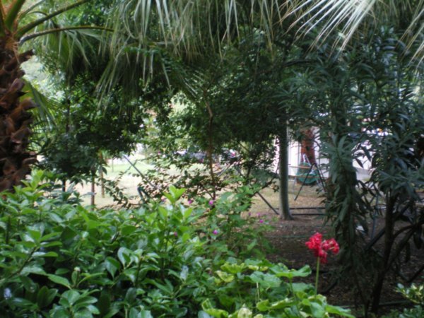 Garden at Hotel Canada in Cirali