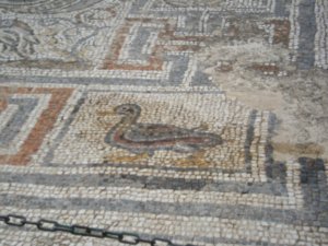 Mosaics found in plaza