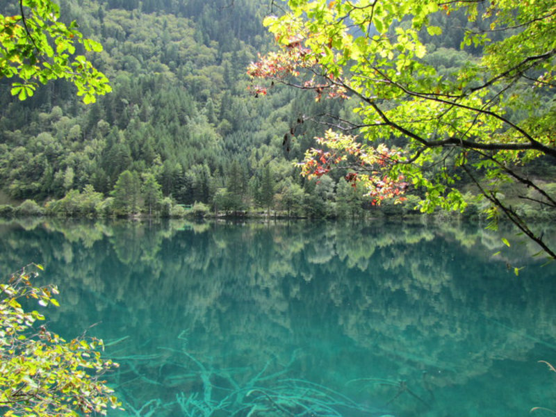 Jiuzhaigou Mirror Lake 1