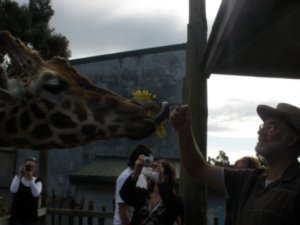 1 Orana Park Zoo