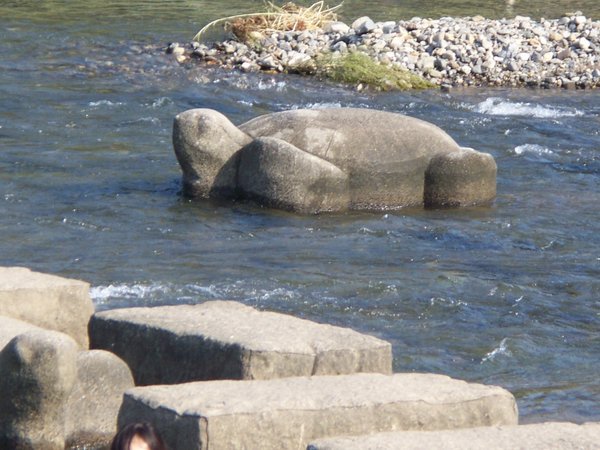 river turtle stone