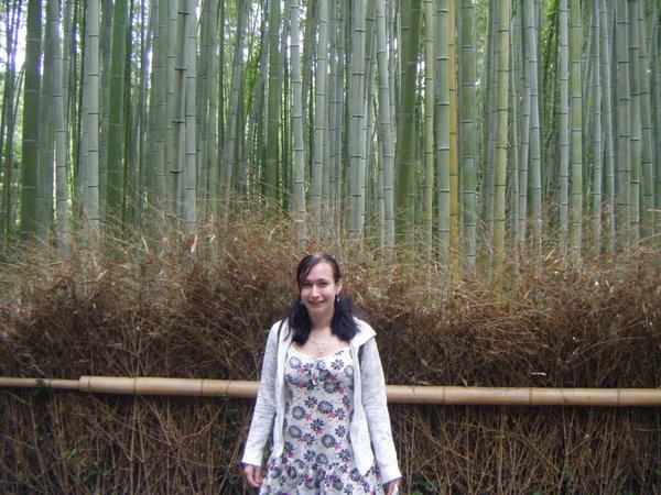 path of bamboo
