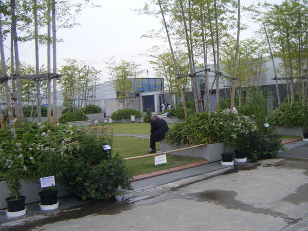 garden at top of kyoto station