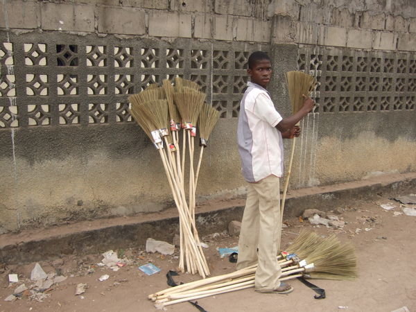 Rambling Broom Seller BZV