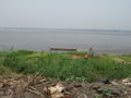 View of Kinshasa from Brazzaville