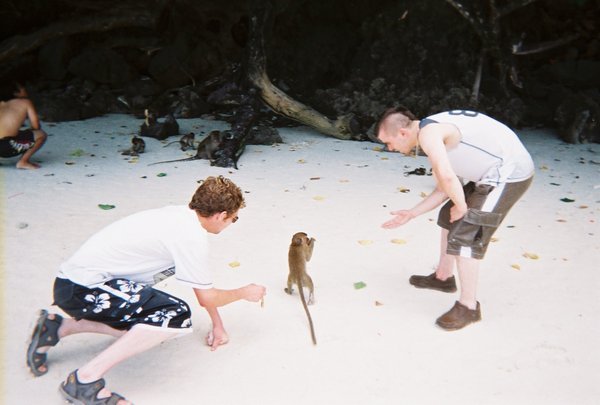 boys with Monkeys