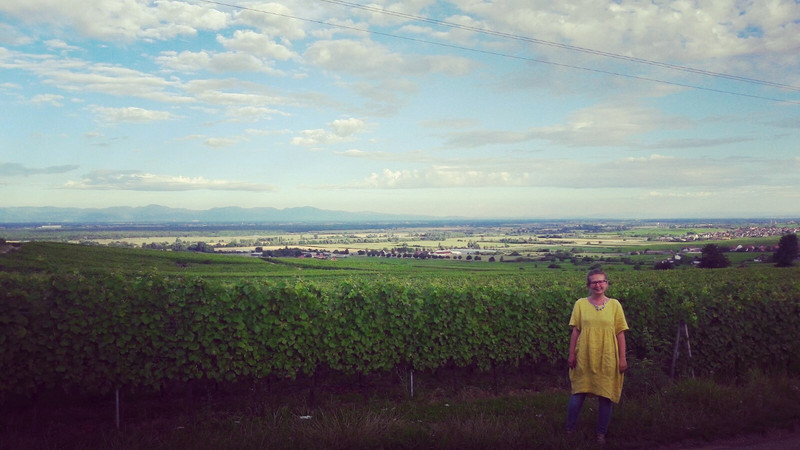Vineyards Alsace 