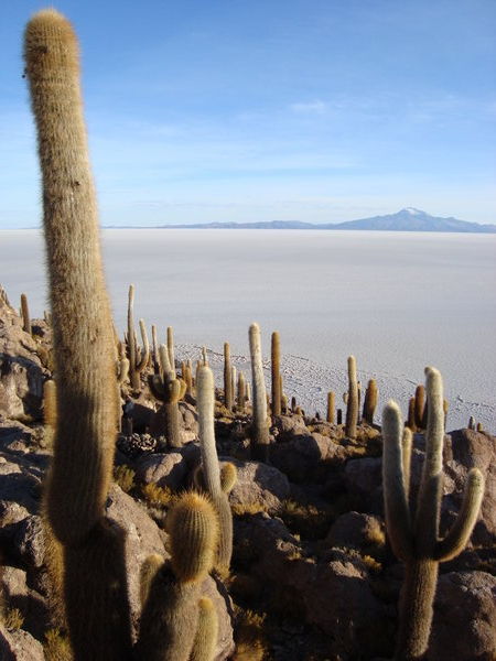 Salar de Uyuni, Bolivie