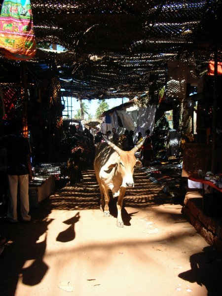 Anjuna, Goa, Inde
