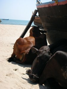 Palolem beach, Goa, Inde