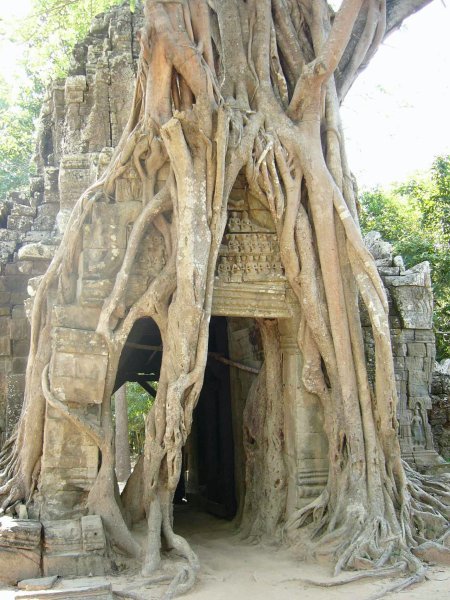 Temple d'Angkor, Cambodge