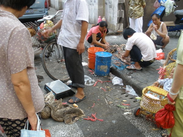 Buying and butchering chickens on the street