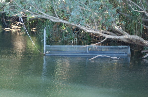 crocodile trap in Katherine Gorge