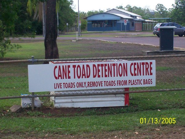 cane toad detention centre