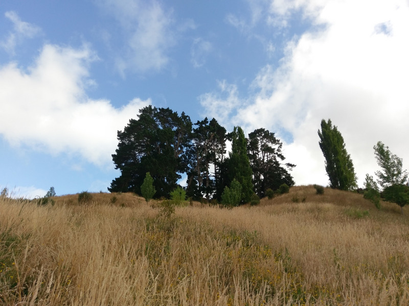 Aussicht von Erik´s Grundstück in Whanganui