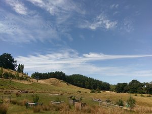 Neuseeland, das Land der langen weissen Wolke 2