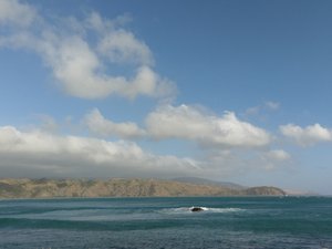 Die Buchten von Wellington - auf dem Heimweg nach Whanganui