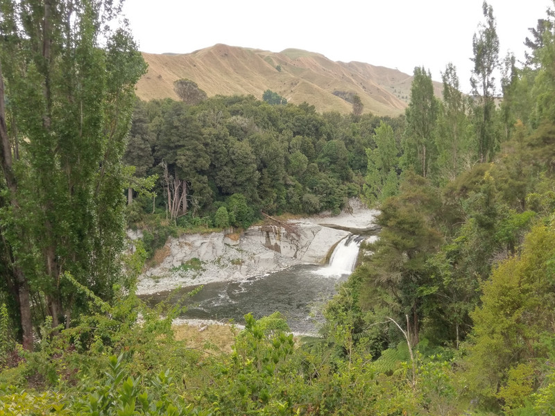 Natur 4 auf dem Rückweg von Whanganui nach Paeroa