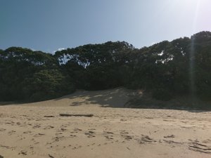 Ein Sandwäldchen am Onemana Strand