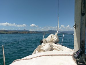 Blick vom Boot