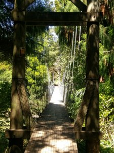 Typische Schwingbrücke in Neuseeland