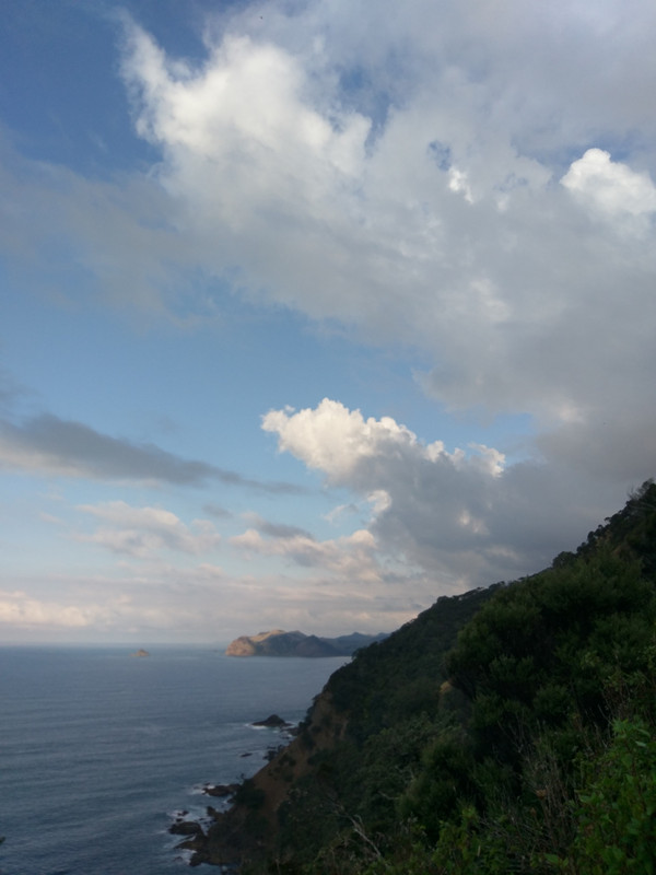 Coromandel walkway Impressionen 12