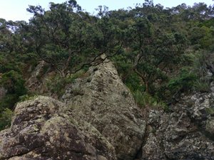 Die Felsen von Poley Bay