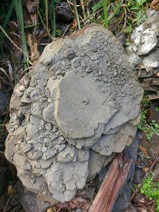 Steinformationen Poley Bay 1