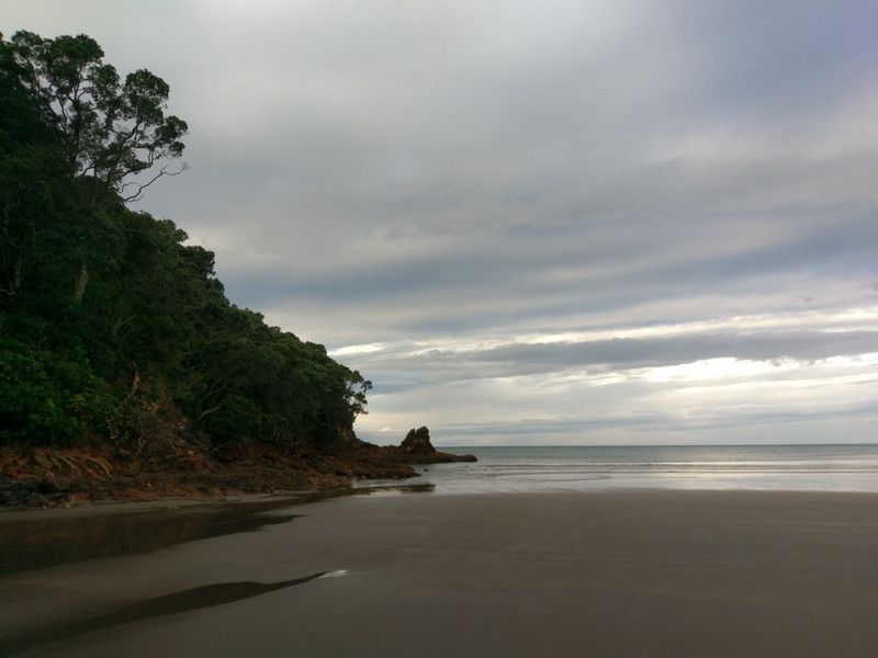 Waihii beach - Orokawa Bay Track 2