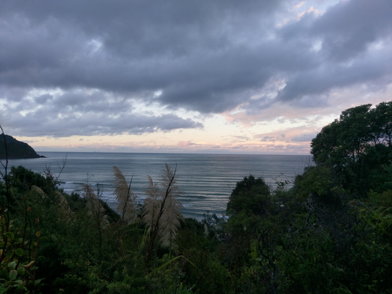 Waihii beach - Orokawa Bay Track 18