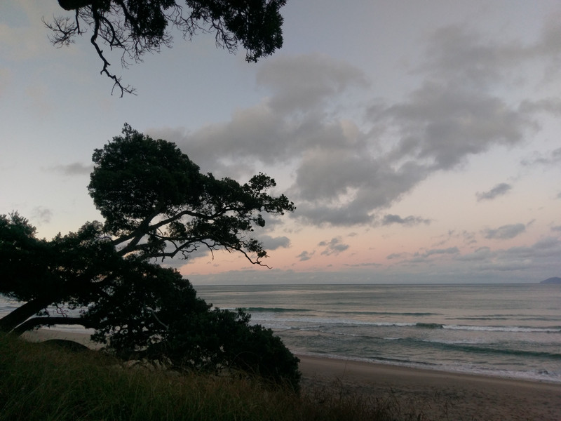 Waihii beach - Orokawa Bay Track 26