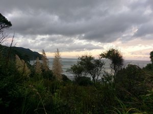 Waihii beach - Orokawa Bay Track 17