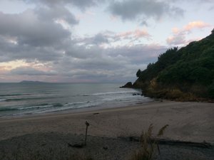 Waihii beach - Orokawa Bay Track 20