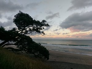 Waihii beach - Orokawa Bay Track 20