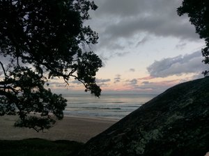 Waihii beach - Orokawa Bay Track 23