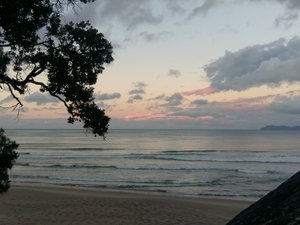 Waihii beach - Orokawa Bay Track 24